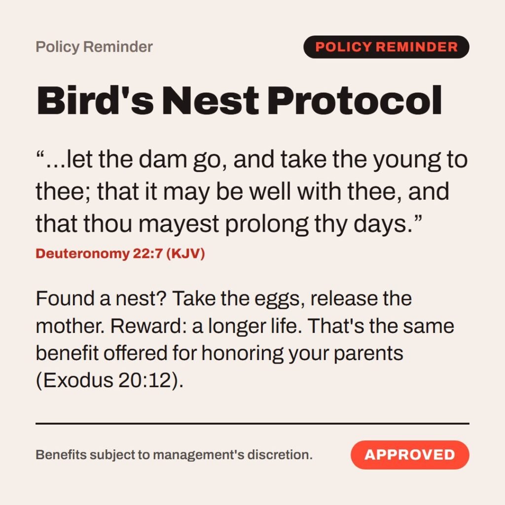 Hellpdesk policy reminder card. Bird's Nest Protocol. “…let the dam go, and take the young to thee; that it may be well with thee, and that thou mayest prolong thy days.” (Deuteronomy 22:7 (KJV)) Found a nest? Take the eggs, release the mother. Reward: a longer life. That's the same benefit offered for honoring your parents (Exodus 20:12). Status: Approved.
